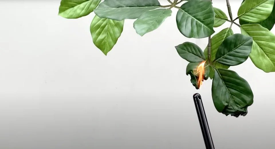 Brandveiligheid van Coolplant