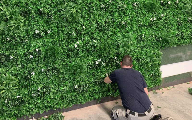 Montage van de groene wand basic