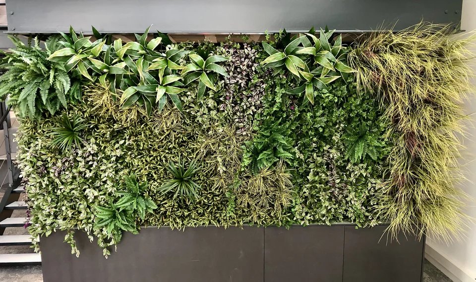 Groene wand custom van Coolplant