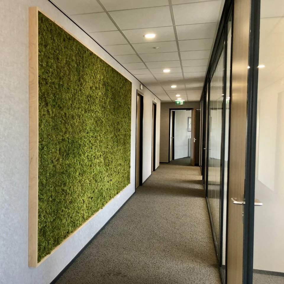 Groene wand mos van Coolplant