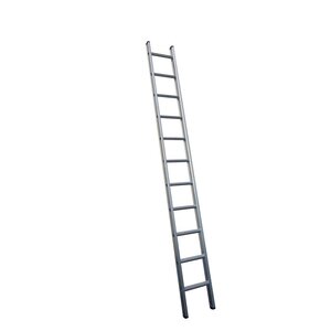 MAXALL® Rechte Enkele Ladder 1x6 (1,75 m ladder lengte)