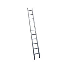 MAXALL® Rechte Enkele Ladder 1x20