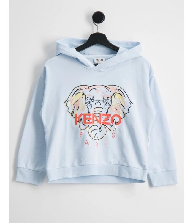 KENZO Kenzo Hoodie olifant