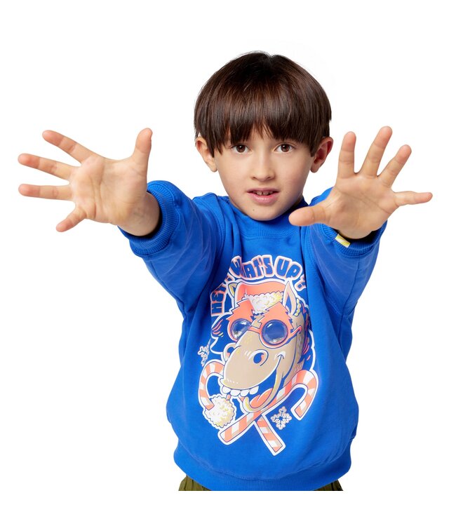 Billieblush Sweater Boys HEY WHATS UP