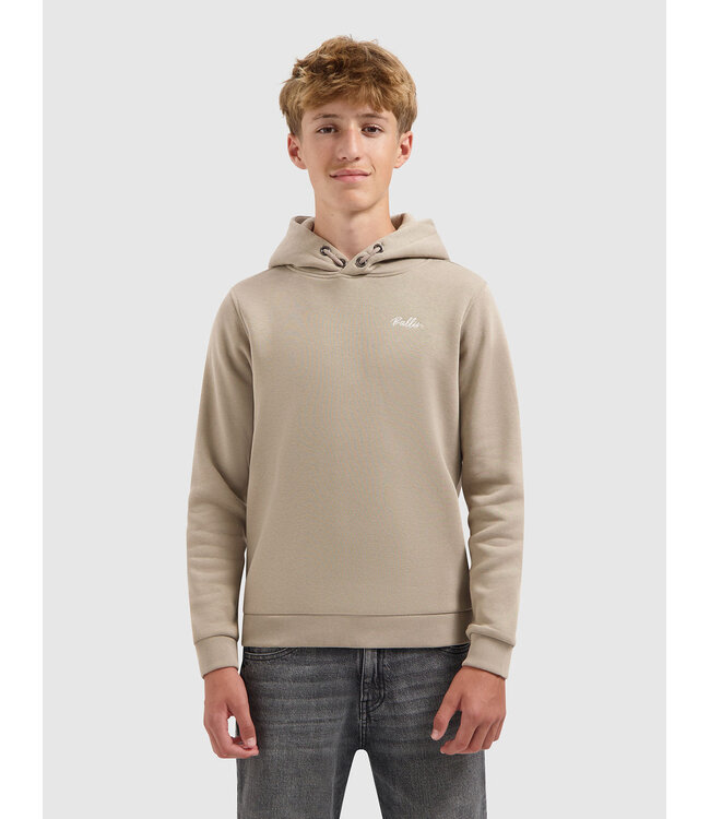 Ballin Junior Echoes Of The Urban Wild Hoodie Taupe
