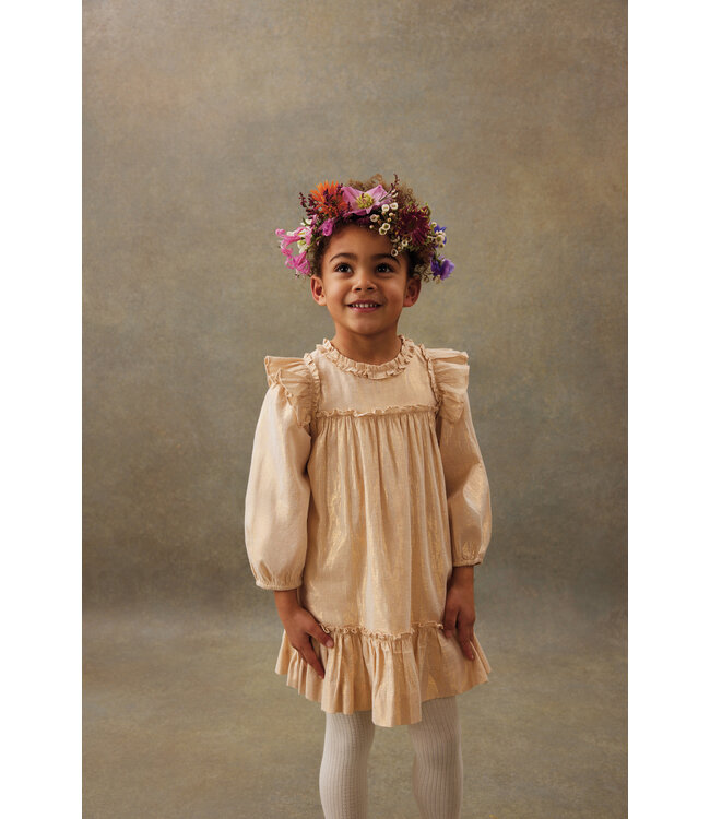 Louise Misha Dress Nolia Gold