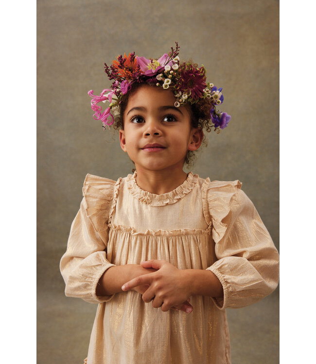 Louise Misha Dress Nolia Gold