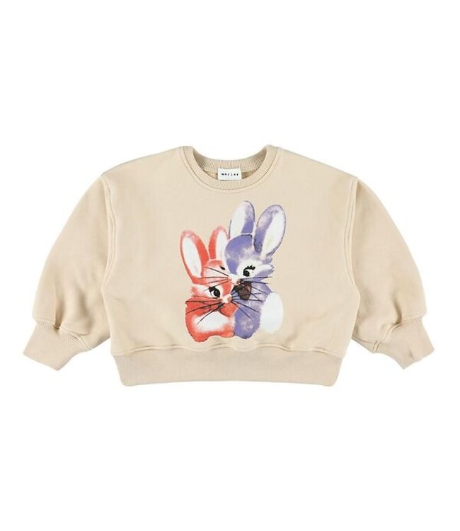 Morley YCON BUNNY BARLEY