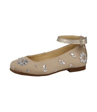 Andanines Raso Champagne