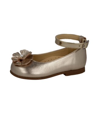 Andanines Ballerina Laminado Champagne