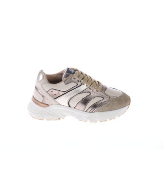 Hip Sneaker Bronze Combi