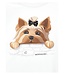Monnalisa T-Shirt Hondje
