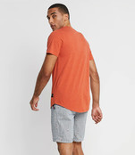 Shorts Shorts