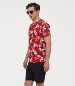 Graphic Shirt Graphic Shirt