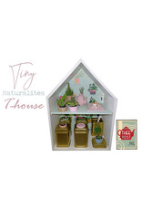 Tiny Naturalitea Tea-House Lage T-Pot