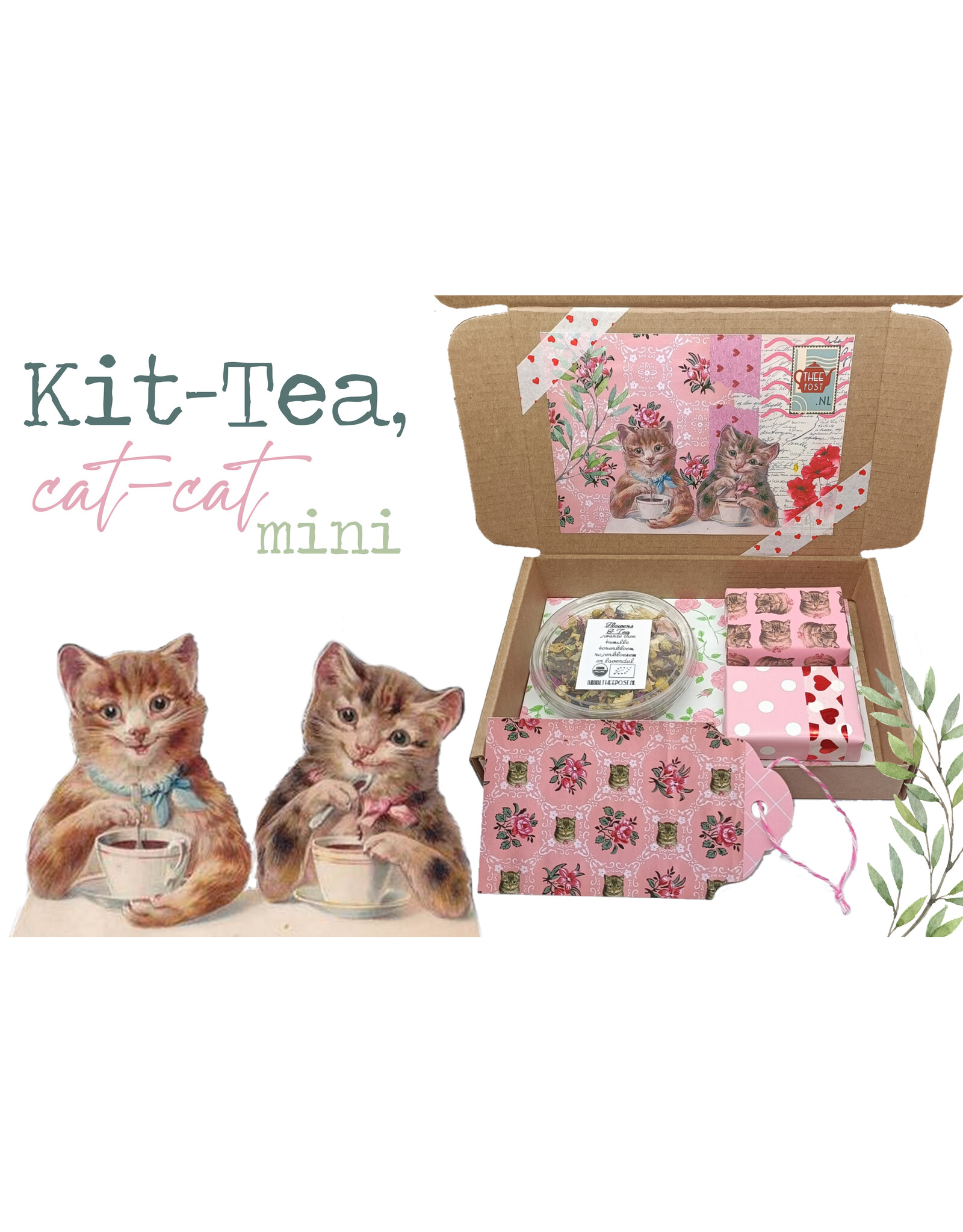 Kit-Tea, cat-cat mini