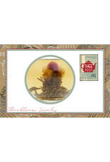 Theebloem van groene thee