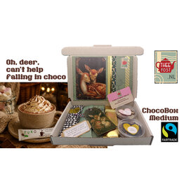 ChocoBox Medium CM 101