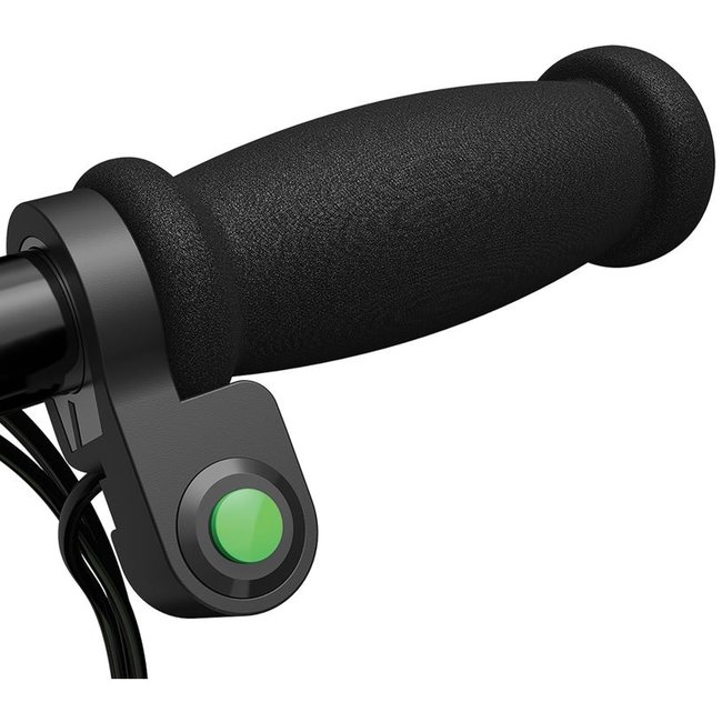 Razor Elektrische Step E90 Power Core Groen