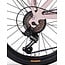Vouwfiets 20 Inch MBM Kangaroo 6V Roze