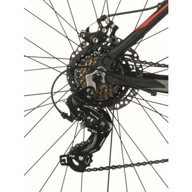 MBM Heren Mountainbike Loop 29 Inch 24 Versnellingen Rood