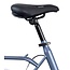 Esperia Vouwfiets 20 Inch Nazaire Lage Instap Grijs Blauw
