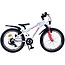 Meisjes Mountainbike 20 Inch Volare XC Race Roze 22162