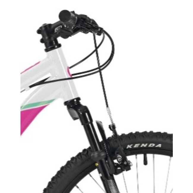 Deed Meisjes Mountainbike 24 Inch Rookie 240 21V Wit