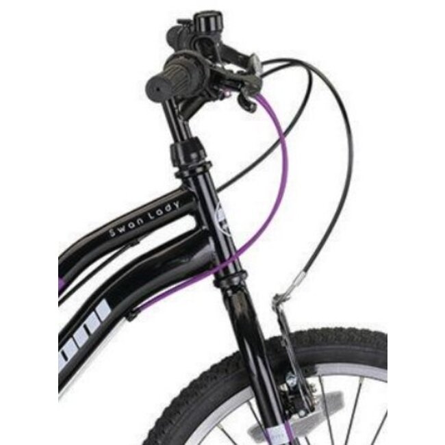 Geroni Meisjes Mountainbike 24 Inch Swan Lady 21V Zwart
