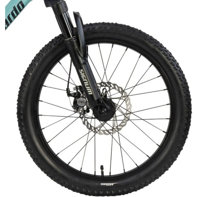 Lombardo Meisjes MTB Brera 20 Inch 7 Versnellingen Turquoise