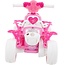 Disney Princess Elektrische Kindermotor Quad Li-ion 6V 19055W - Showroom Model