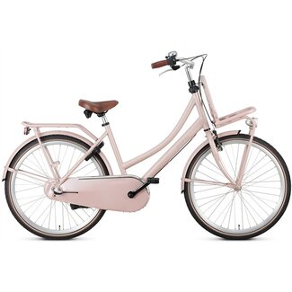 Popal Popal Transportfiets 26 Inch Daily Dutch Basic+ 3V Zalm
