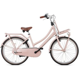 Popal Popal Transportfiets 24 Inch Daily Dutch Basic+ 3V Zalm