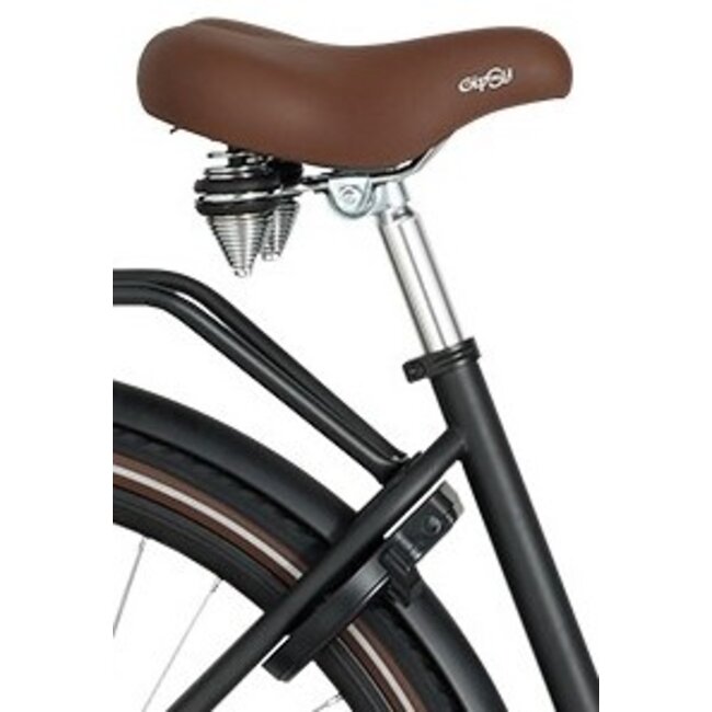 Popal Transportfiets 28 Inch Daily Dutch Basic+ 3V Zwart