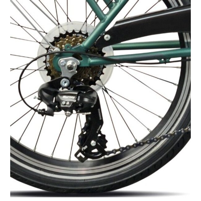 Esperia Vouwfiets 20 Inch Limoges 6 Versnellingen Lage Instap Groen