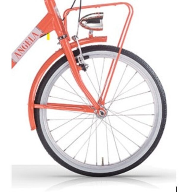 Vouwfiets 20 Inch Angela Zalm Roze