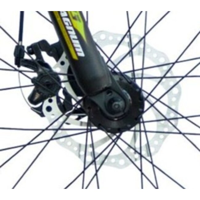 Jongens Mountainbike 20 Inch Geroni Magnum Groen