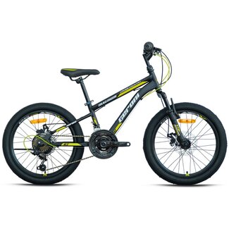 Geroni Jongens MTB 20 Inch Geroni Magnum Groen
