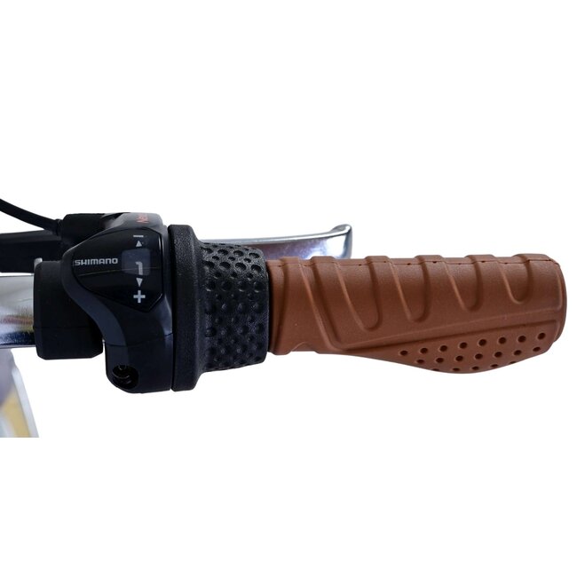 Volare Meisjesfiets 20 Inch Blossom 3V Paars 52045