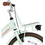 Supersuper Meisjesfiets 20 Inch Cooper Bamboo Pistache