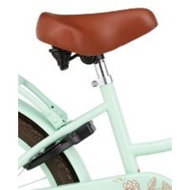 Supersuper Meisjesfiets 20 Inch Cooper Bamboo Pistache