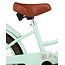 Supersuper Meisjesfiets 18 Inch Cooper Bamboo Pistache