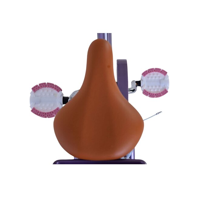 Meisjesfiets 18 Inch Volare Blossom Paars 51833