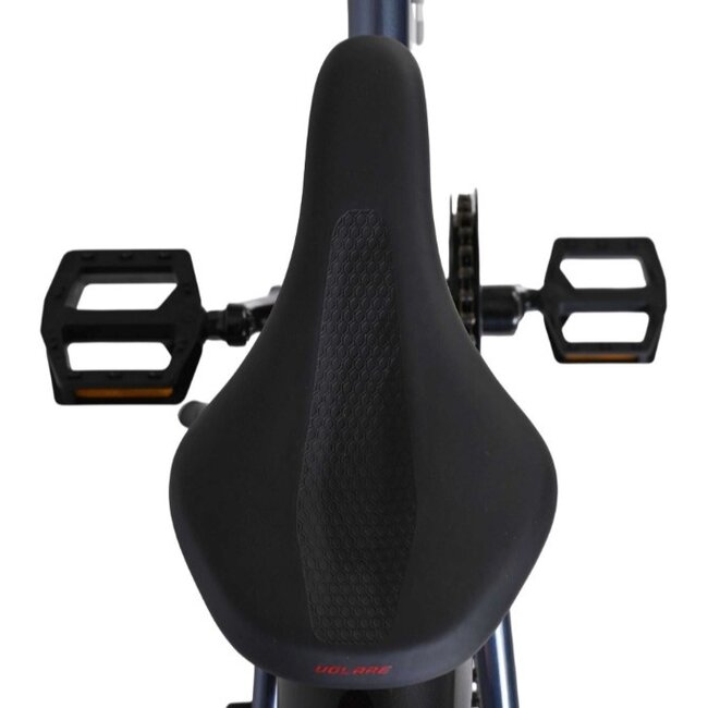 Volare Jongens Mountainbike 20 Inch XC Race 3 Nexus Rood 22164