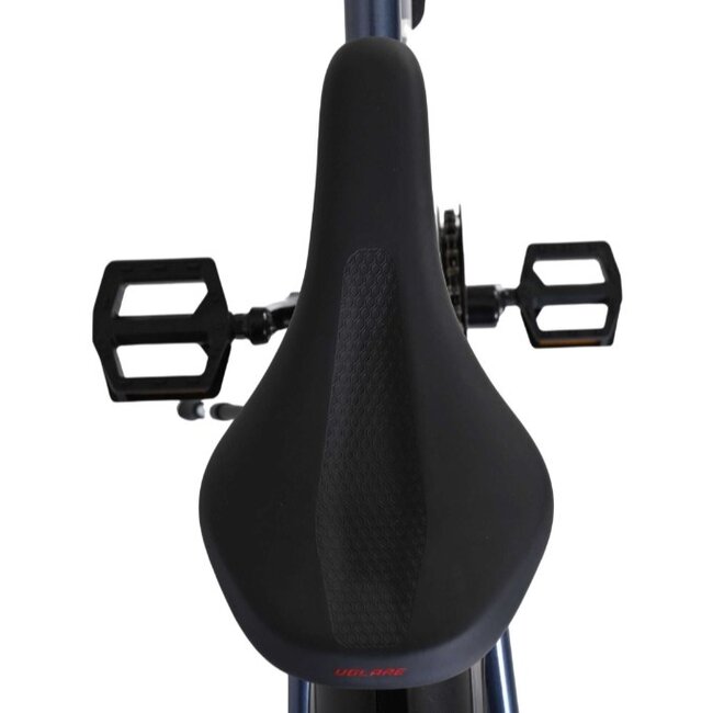 Jongens MTB 24 Inch Volare XC Race 3V Nexus Rood 22564