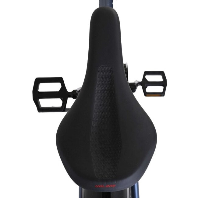 Jongens MTB 26 Inch Volare XC Race 3V Nexus Rood 22684