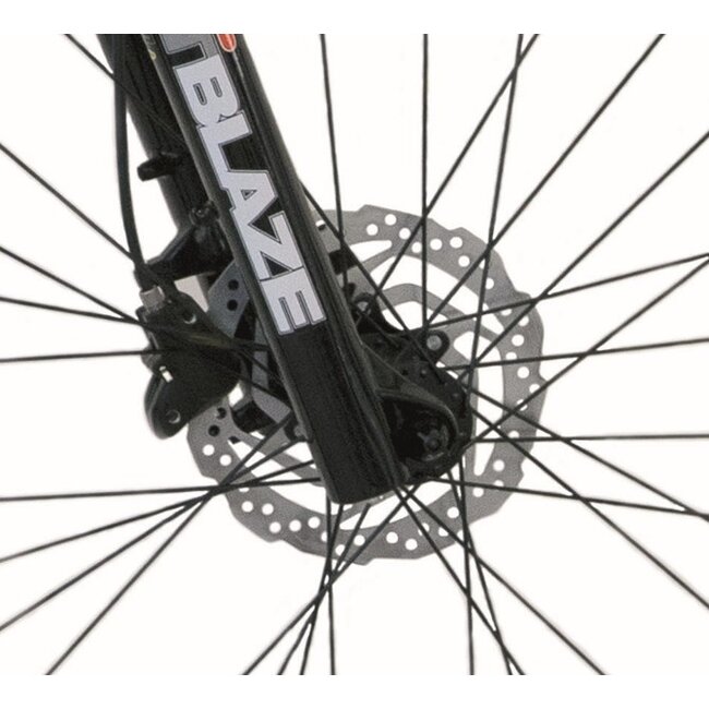 Mountainbike Heren 29 Inch Deed Flame 296 21V Grijs