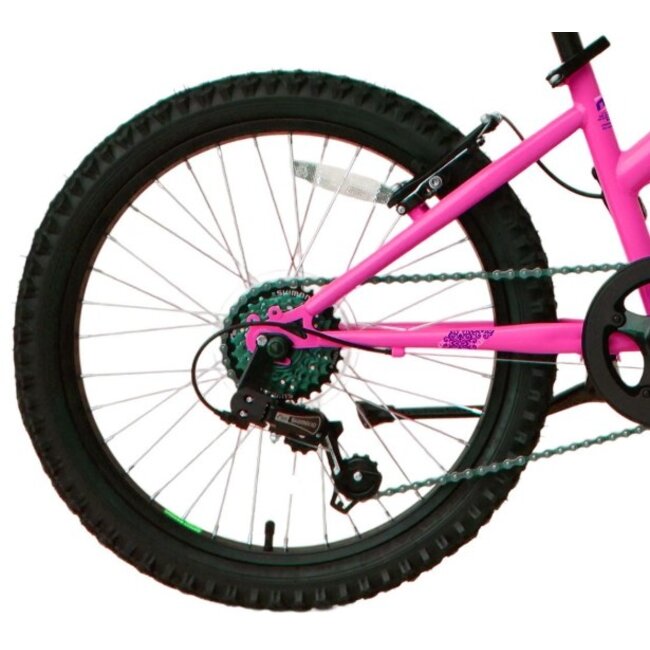 Meisjes Mountainbike 20 Inch Marlin Escape Roze