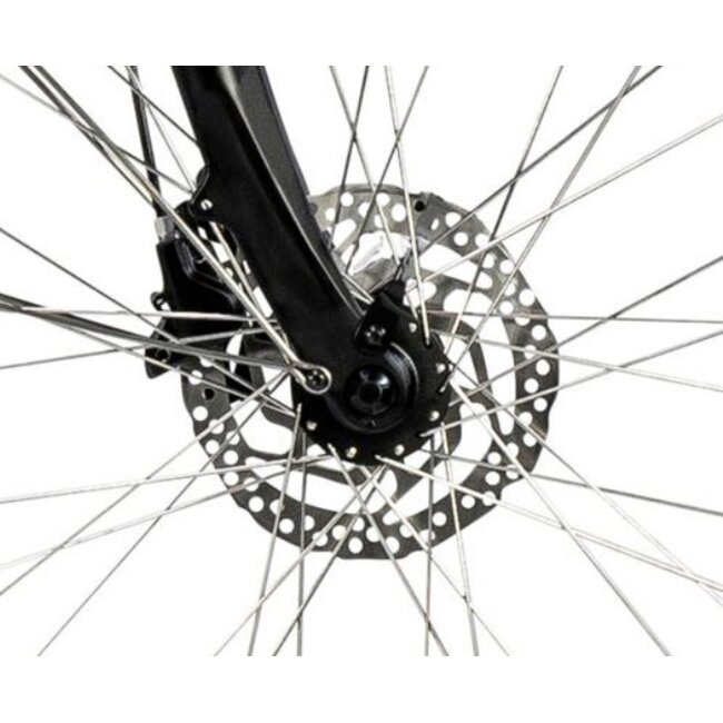 Elektrische Damesfiets 28 Inch E-Vision Valence Zwart