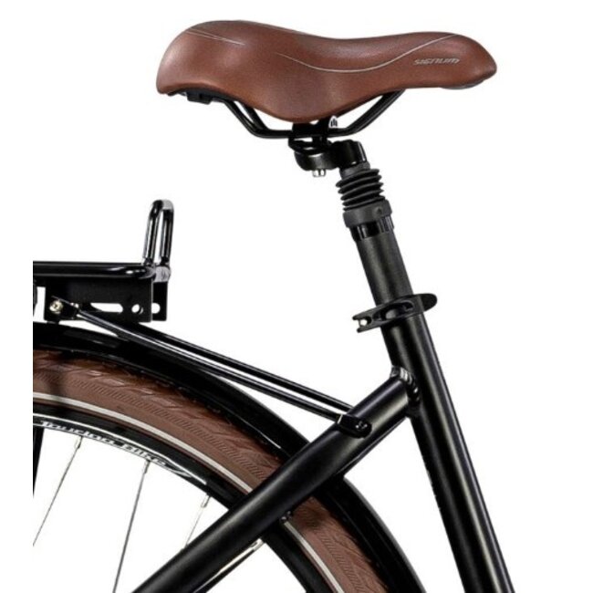 Elektrische Damesfiets 28 Inch E-Vision Valence Zwart